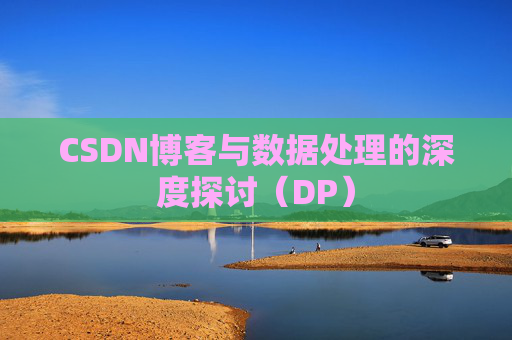 CSDN博客与数据处理的深度探讨（DP）